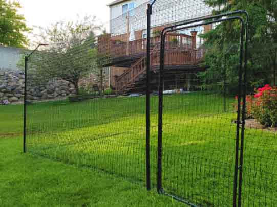 Temp dog fence