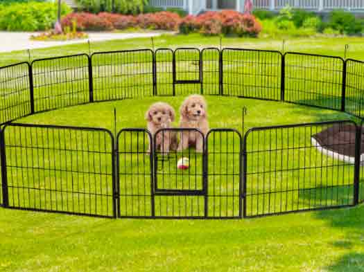 Temporary puppy fence