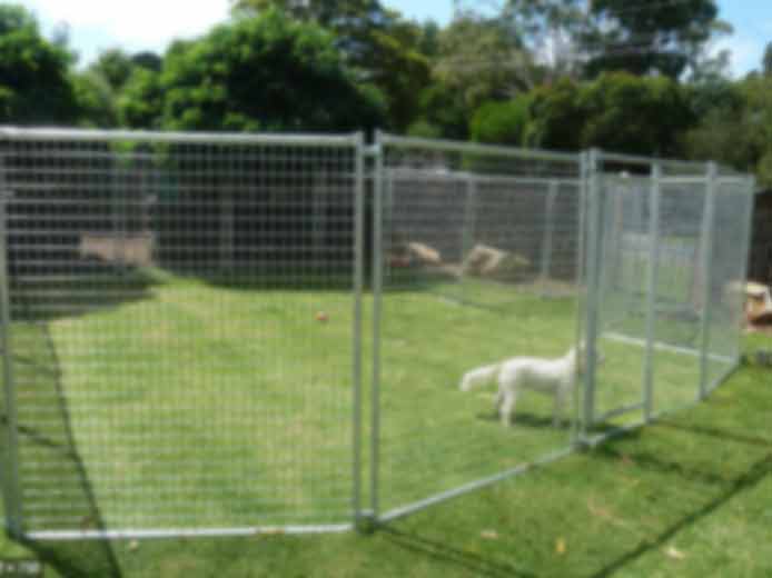 Outdoor temporary dog fence
