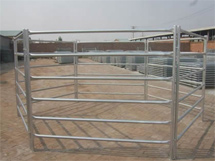 Pipe cattle pens