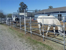 Horse fence panels