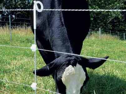 temporary electric fence for cattle