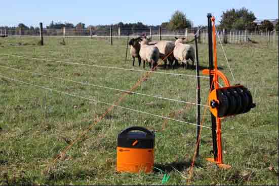temporary electric fence for cattle 2