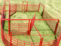 cattle working pens 1
