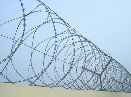 concertina wire